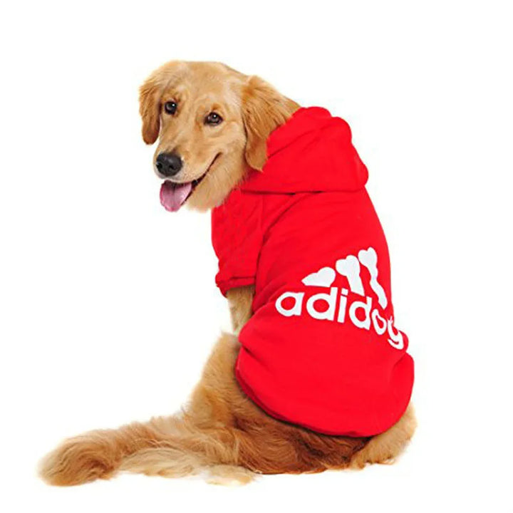 Sportlicher Hunde Pullover