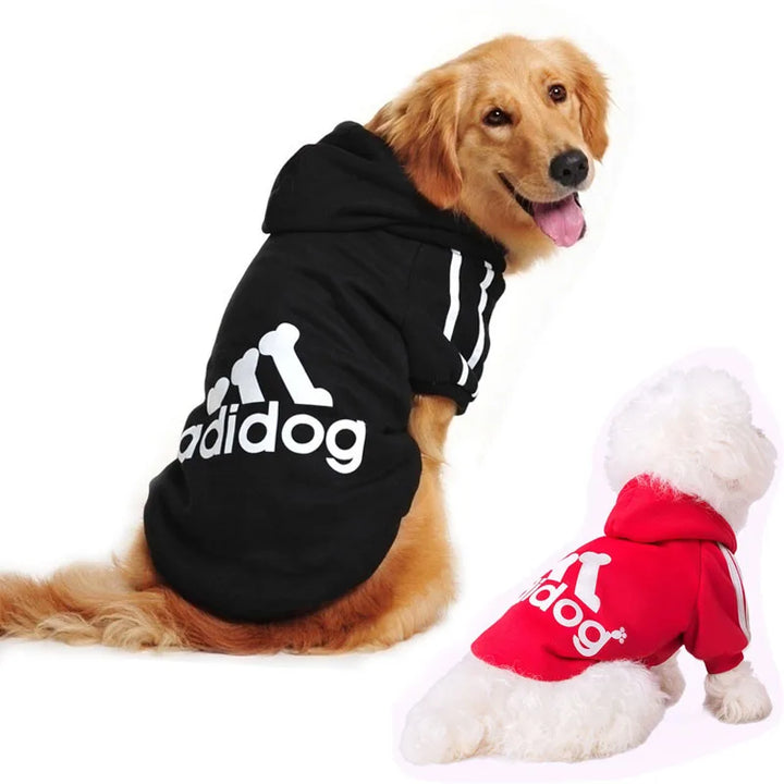 Sportlicher Hunde Pullover