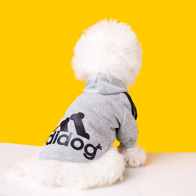 Sportlicher Hunde Pullover