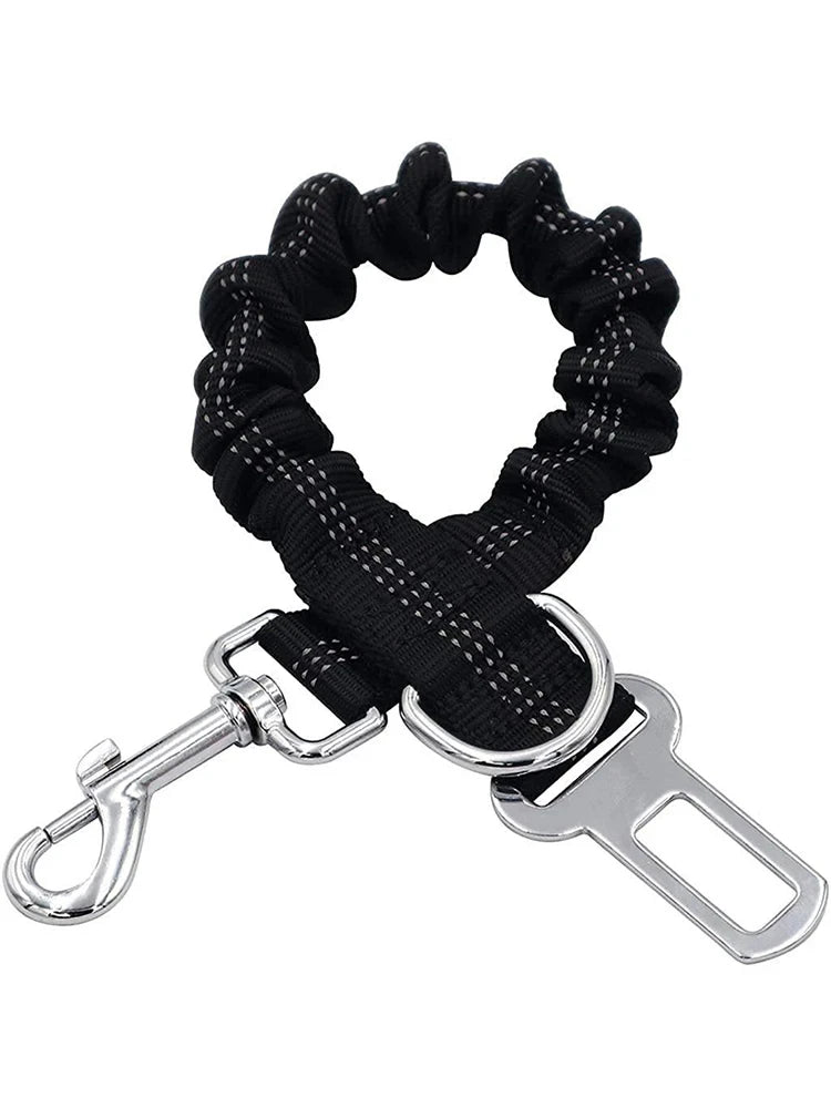 Autogurt für Hunde aus Nylon BLAZE